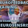 Neurofeedback therapy training, the example of NeurosensRise